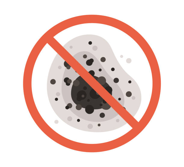 Mold Removal for HVAC Installations in Sierra Vista Southeast, AZ