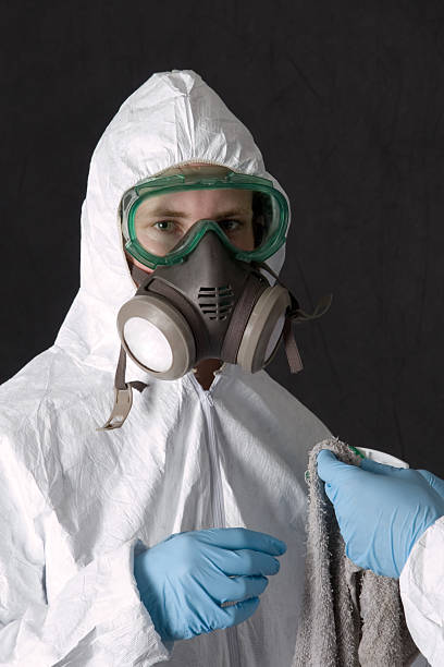Sierra Vista Southeast, AZ Mold Removal Company